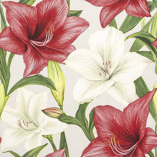Paper Napkins 33cm, Floral Duo *ETA Nov
